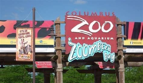Yes, <strong>Kroger</strong> offers <strong>discounted tickets</strong> for both the <strong>zoo</strong> and the bay. . Kroger discount columbus zoo tickets